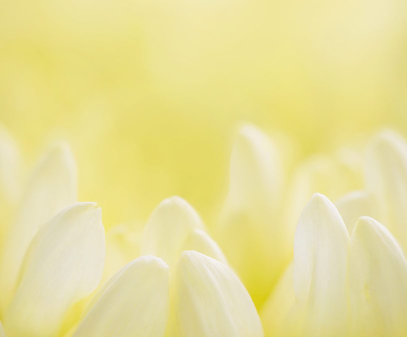 Colour psychology and the geometry of nature
