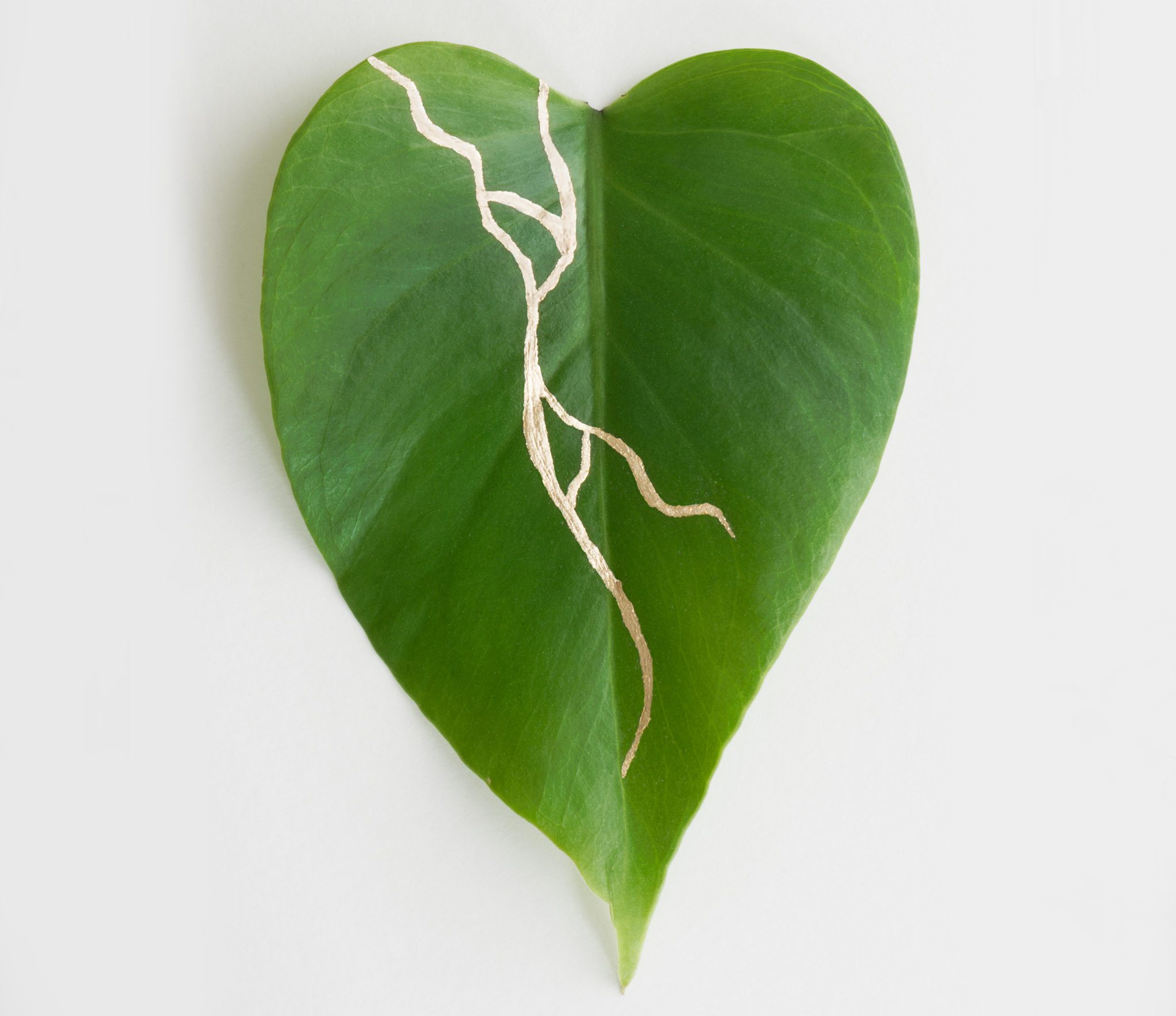 Artwork of green heart shaped leaf with Kintusgi Gold