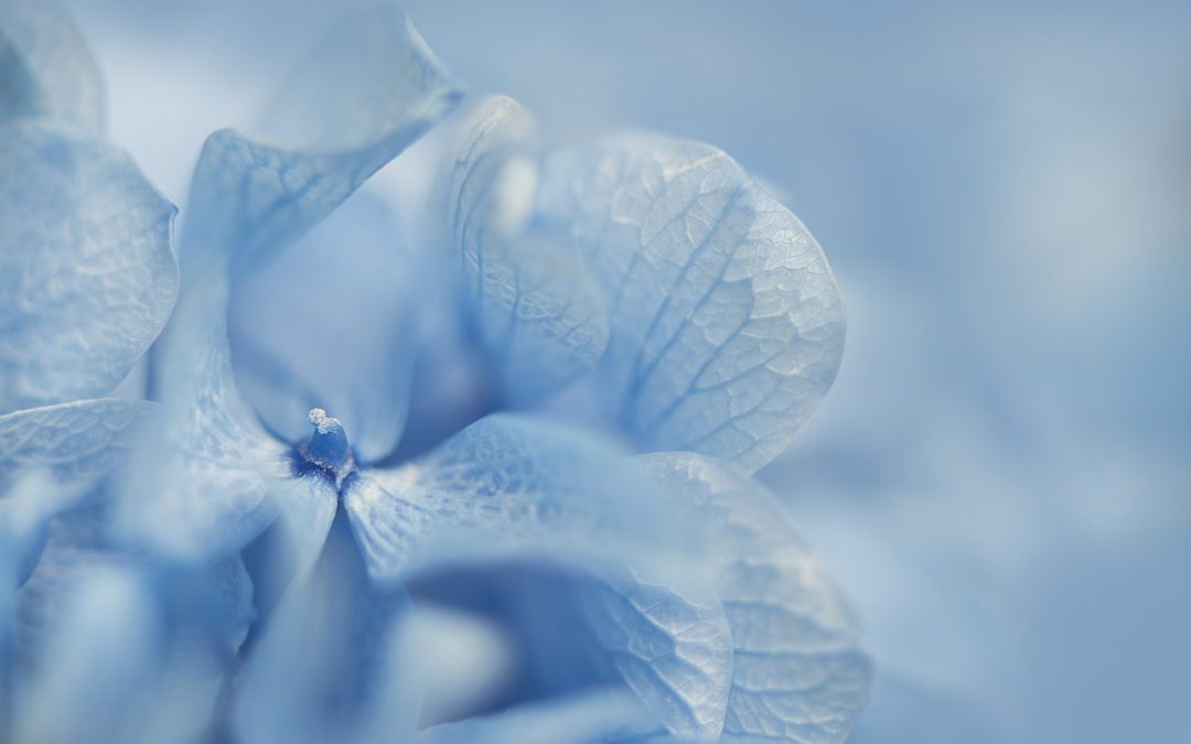 When Pregnancy Feels Overwhelming: Why Emotional Support Matters