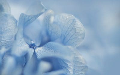 When Pregnancy Feels Overwhelming: Why Emotional Support Matters