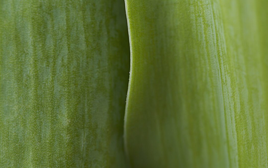 Highly Sensitive People