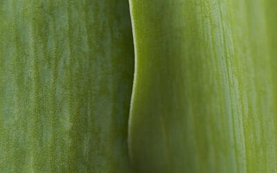 Highly Sensitive People and Anxiety | Understanding HSP